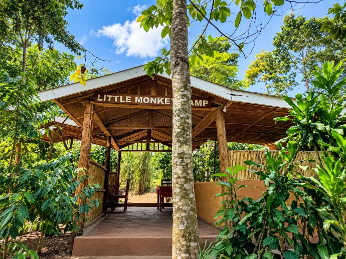 Little Monkey Camp cottages surrounded by tropical gardens
