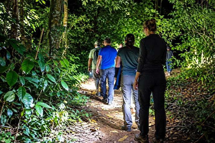 Guided nature walks in Kibale Forest Uganda