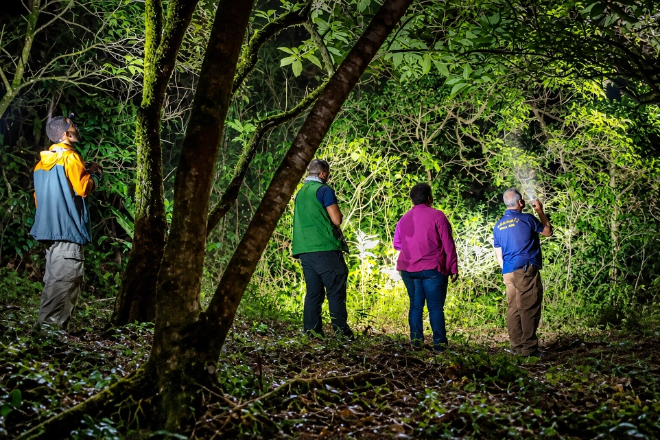 Kibale Forest guided walking tours near Little Monkey Camp